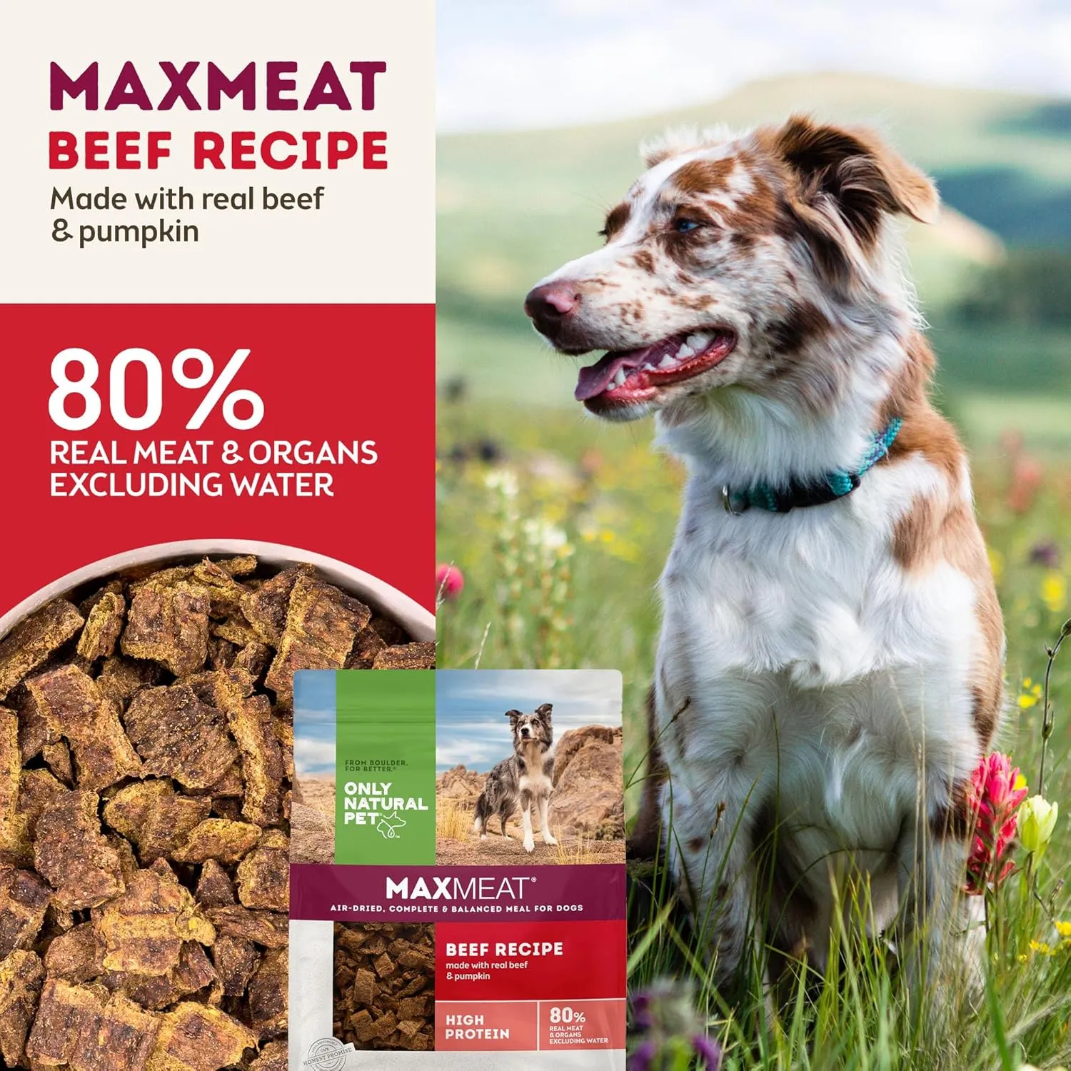 Only Natural Pet MaxMeat Holistic Air Dried Dry Dog Food - All Natural, High Protein, Grain Free - Made with Real Meat - Beef with Pumpkin & Parsley 2 lb