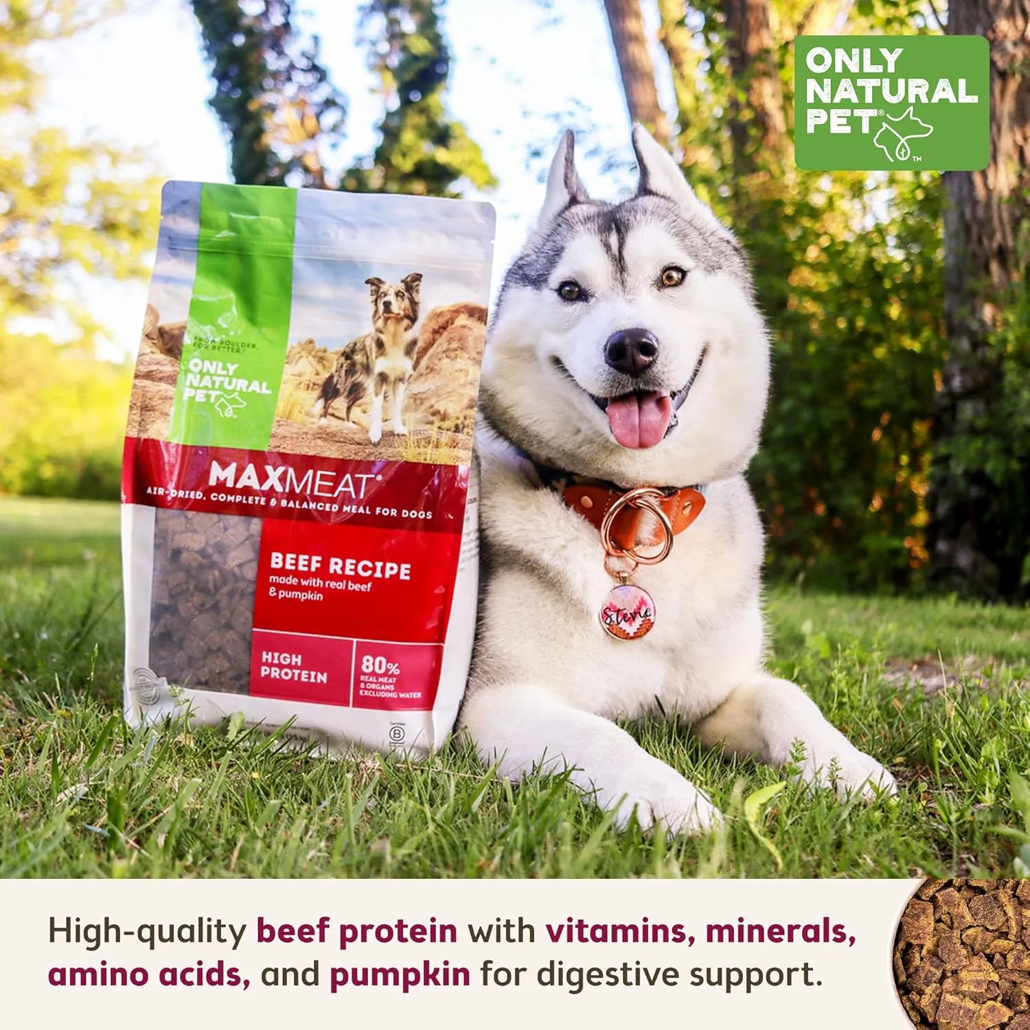 Only Natural Pet MaxMeat Holistic Air Dried Dry Dog Food - All Natural, High Protein, Grain Free - Made with Real Meat - Beef with Pumpkin & Parsley 2 lb
