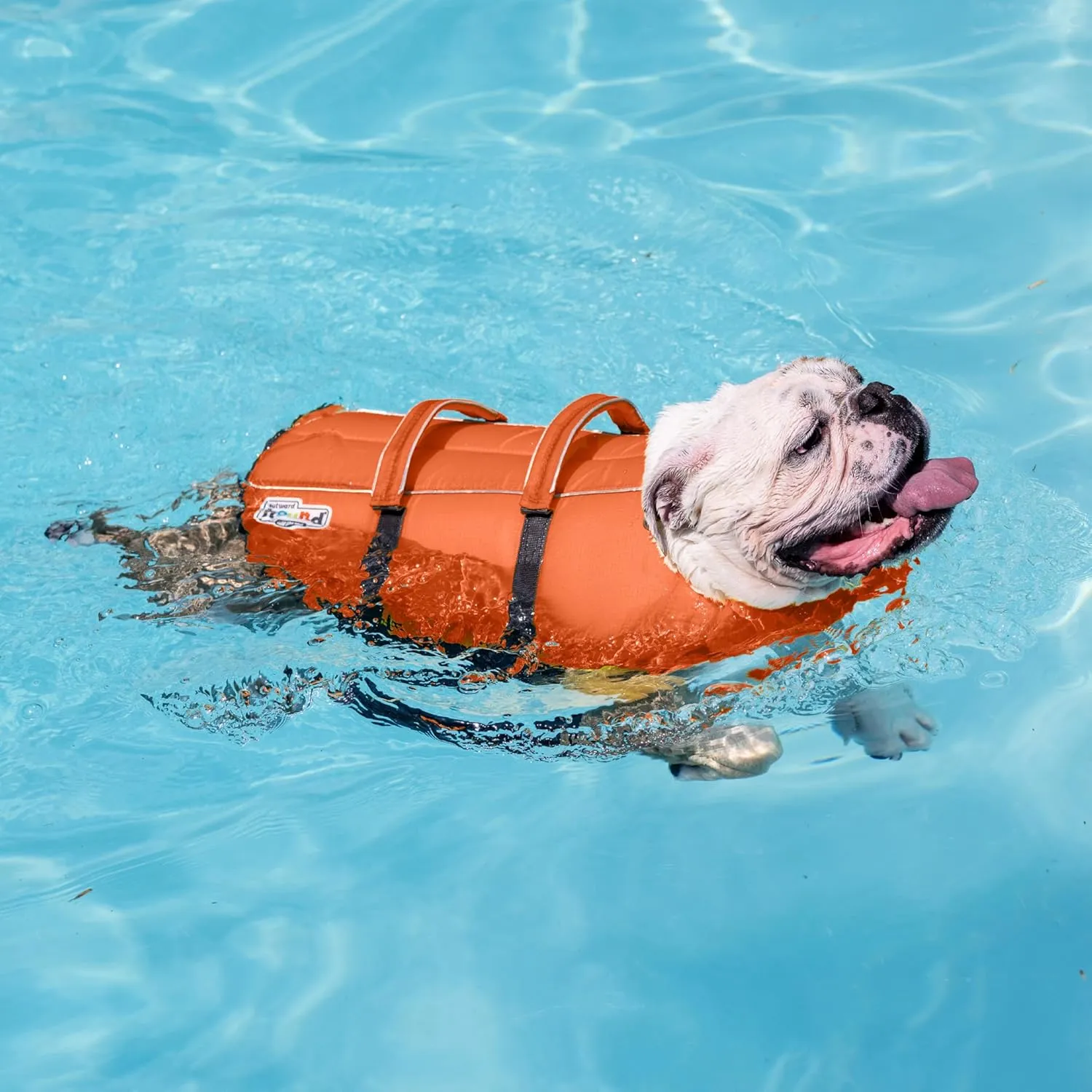 Outward Hound Granby Splash Dog Life Jacket, High-Buoyancy Dog Life Vest for Swimming, Boating, and Water Safety, Small, Orange