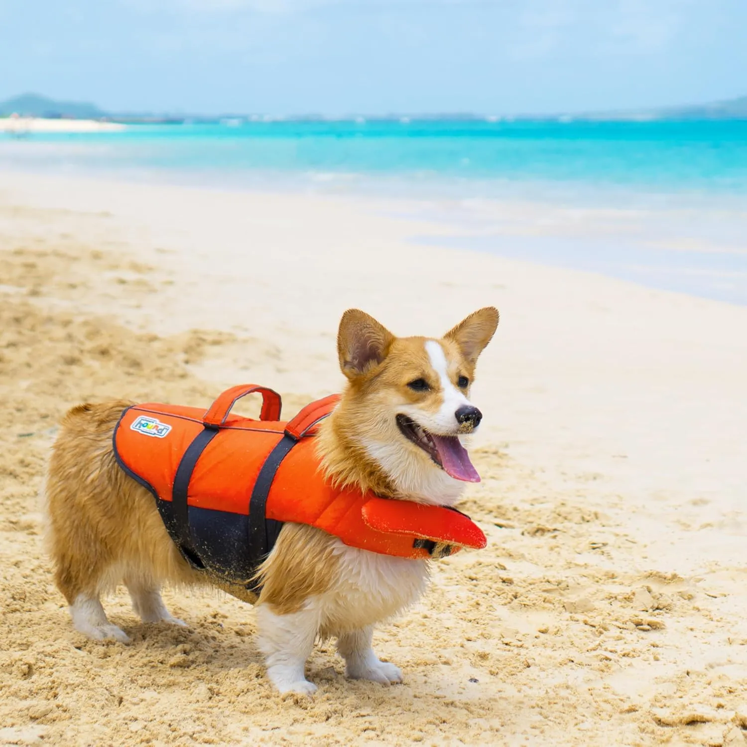 Outward Hound Granby Splash Dog Life Jacket, High-Buoyancy Dog Life Vest for Swimming, Boating, and Water Safety, Small, Orange