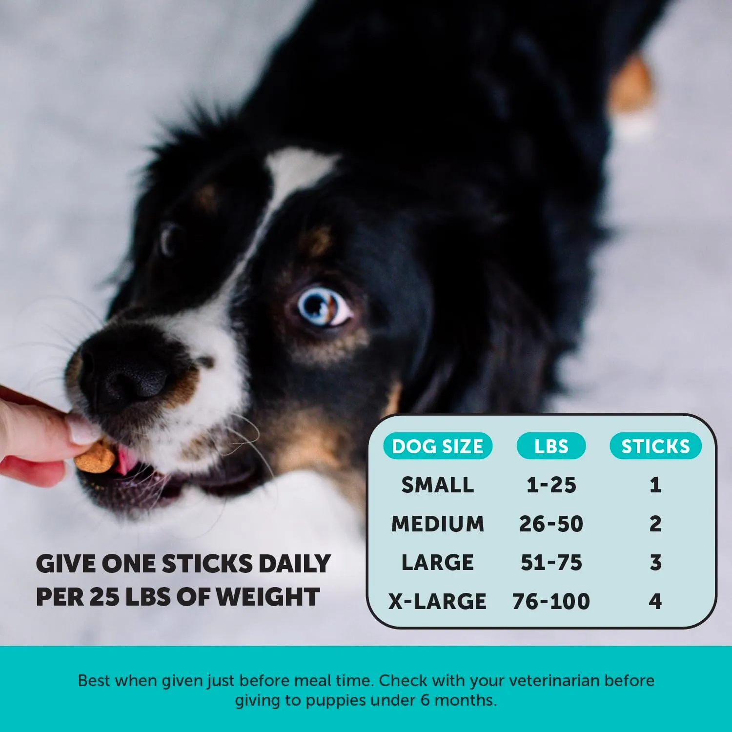 Pet Honesty Hemp Calming Fresh Sticks - Dental Sticks for Dogs - Natural Dental Chews, Calming Support for Dogs, Reduce Hyperactivity and Anxiety, Freshen Dog Breath, Reduce Plaque   Tartar - (30 ct)