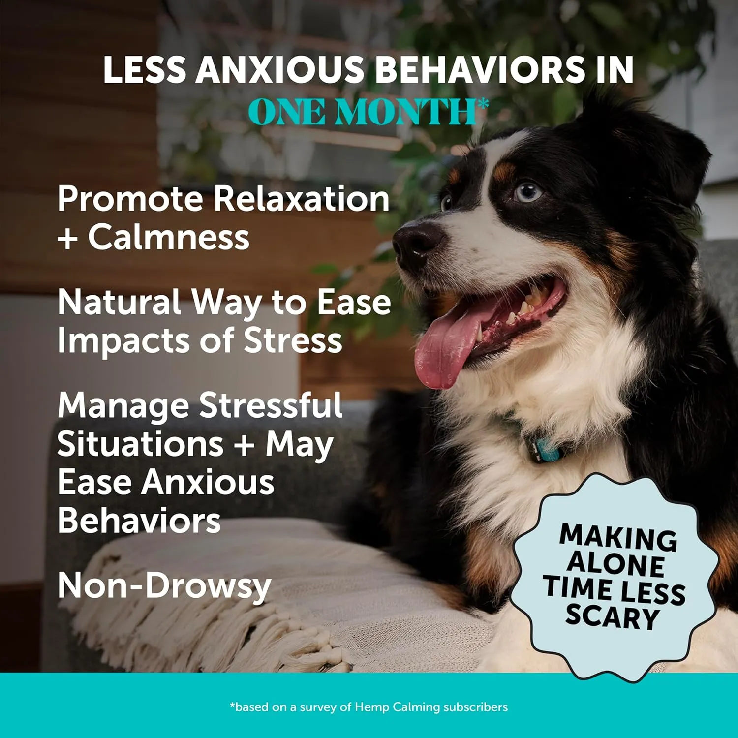 Pet Honesty Natural Hemp Calming Chews for Dogs - Dog Anxiety Relief - Calming Aid Supplement with Valerian Root, Chamomile,   Magnesium - Stress, Separation & Thunder Support - (Beef Liver, 90 Count)