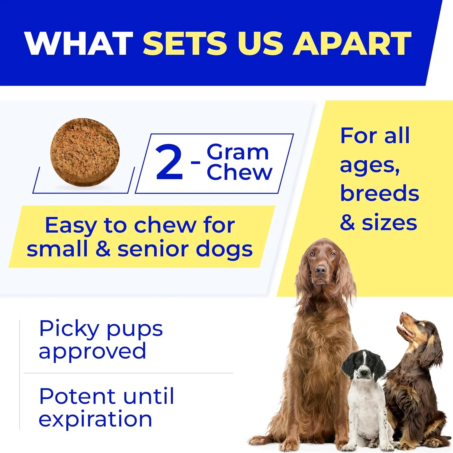 Pet Probiotics for Dogs & Digestive Enzymes for Dogs | Gut Health & Digestive Function Support | Pumpkin & Omega | Prebiotic Supplement Chews