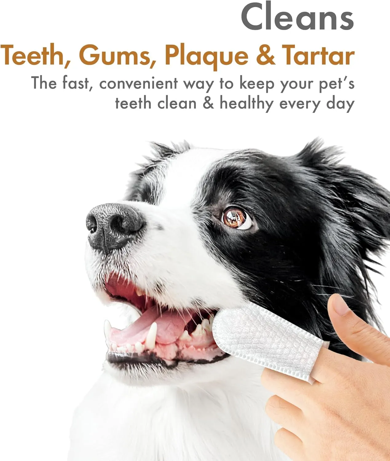 Petkin Fingertip Tooth Wipes for Dogs and Cats, 100 Finger Wipes - Slip-On, Snug Fit, Micro-Bristle Fabric - Cleans Teeth, Gums, Plaque & Tartar - Convenient, Ideal for Home and Travel - Peanut Butter