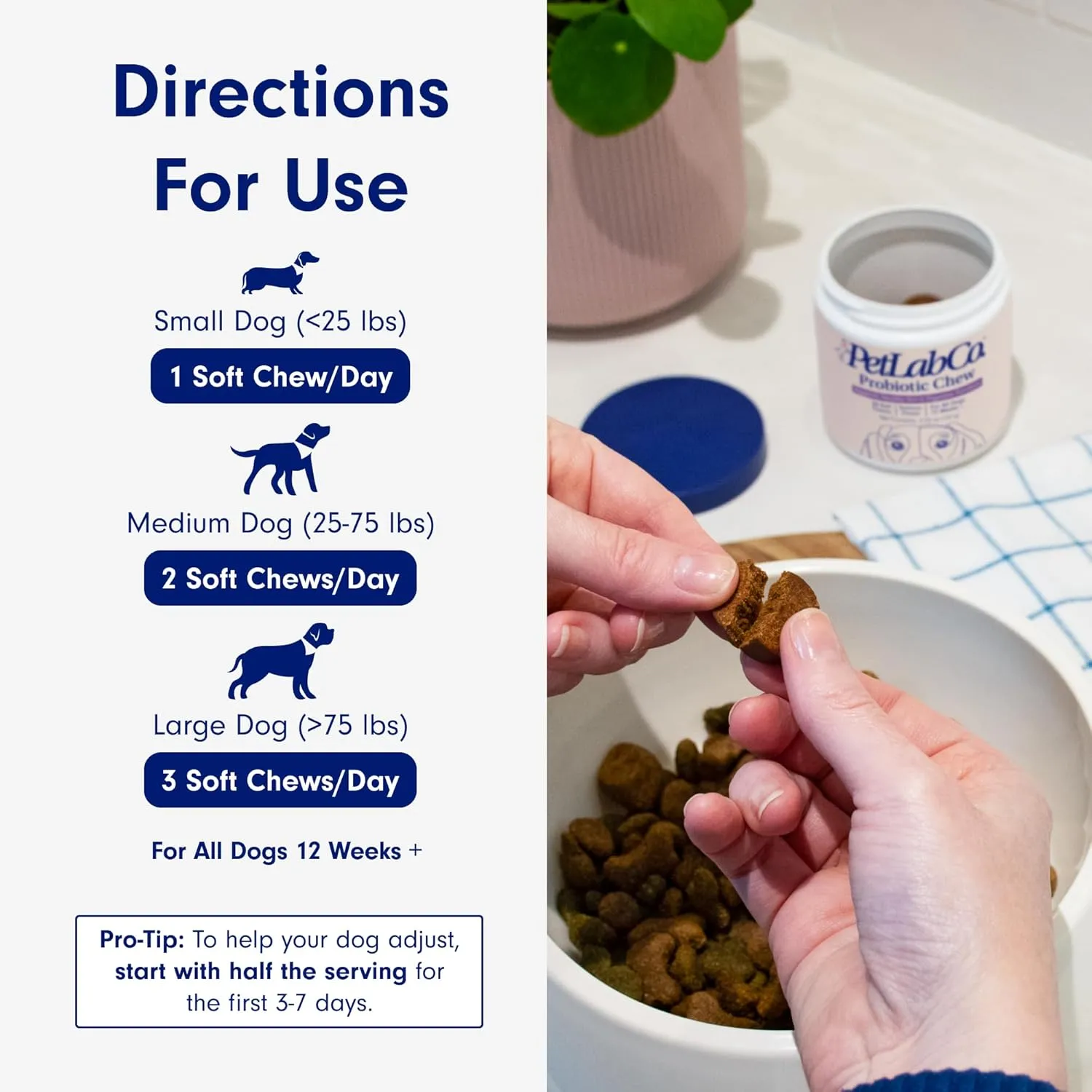 PetLab Co. Probiotics for Dogs, Support Gut Health, Occasional Diarrhea, Digestive Health & Seasonal Allergies - Salmon Flavor - 30 Soft Chews