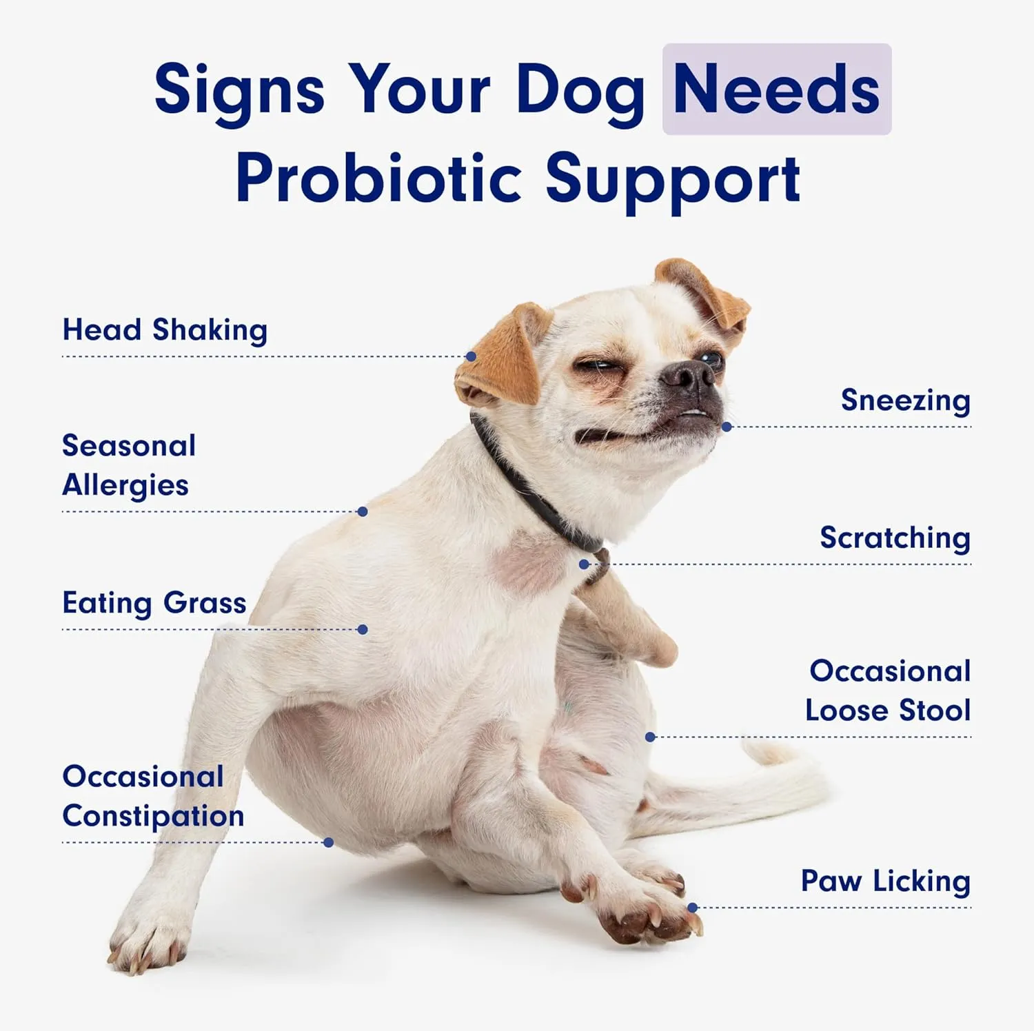PetLab Co. Probiotics for Dogs, Support Gut Health, Occasional Diarrhea, Digestive Health & Seasonal Allergies - Salmon Flavor - 30 Soft Chews