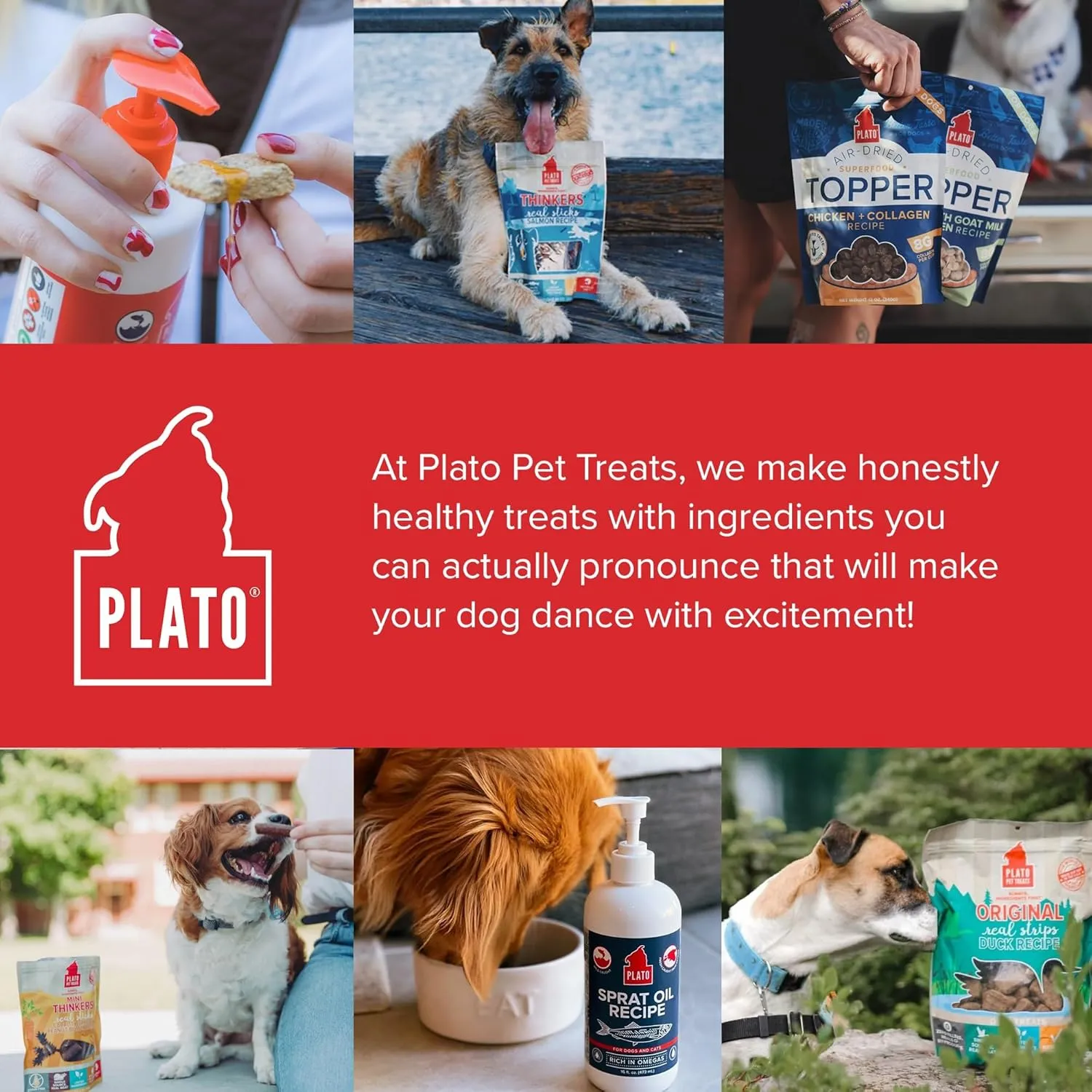 PLATO Wild Alaskan Salmon Oil Kibble Topper - Boost Dog Food with Omega 3 & 6 Fatty Acids - For Healthy Skin & Coat - 8 ounces