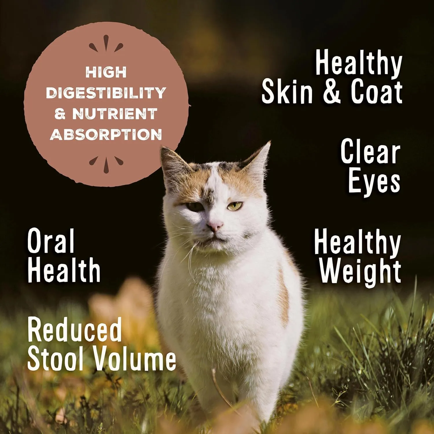 Primal Freeze Dried Raw Cat Food Nuggets Rabbit, Complete & Balanced Meal or Topper, Premium, Healthy, Grain Free, High Protein Raw Cat Food with Probiotics (5.5 oz)