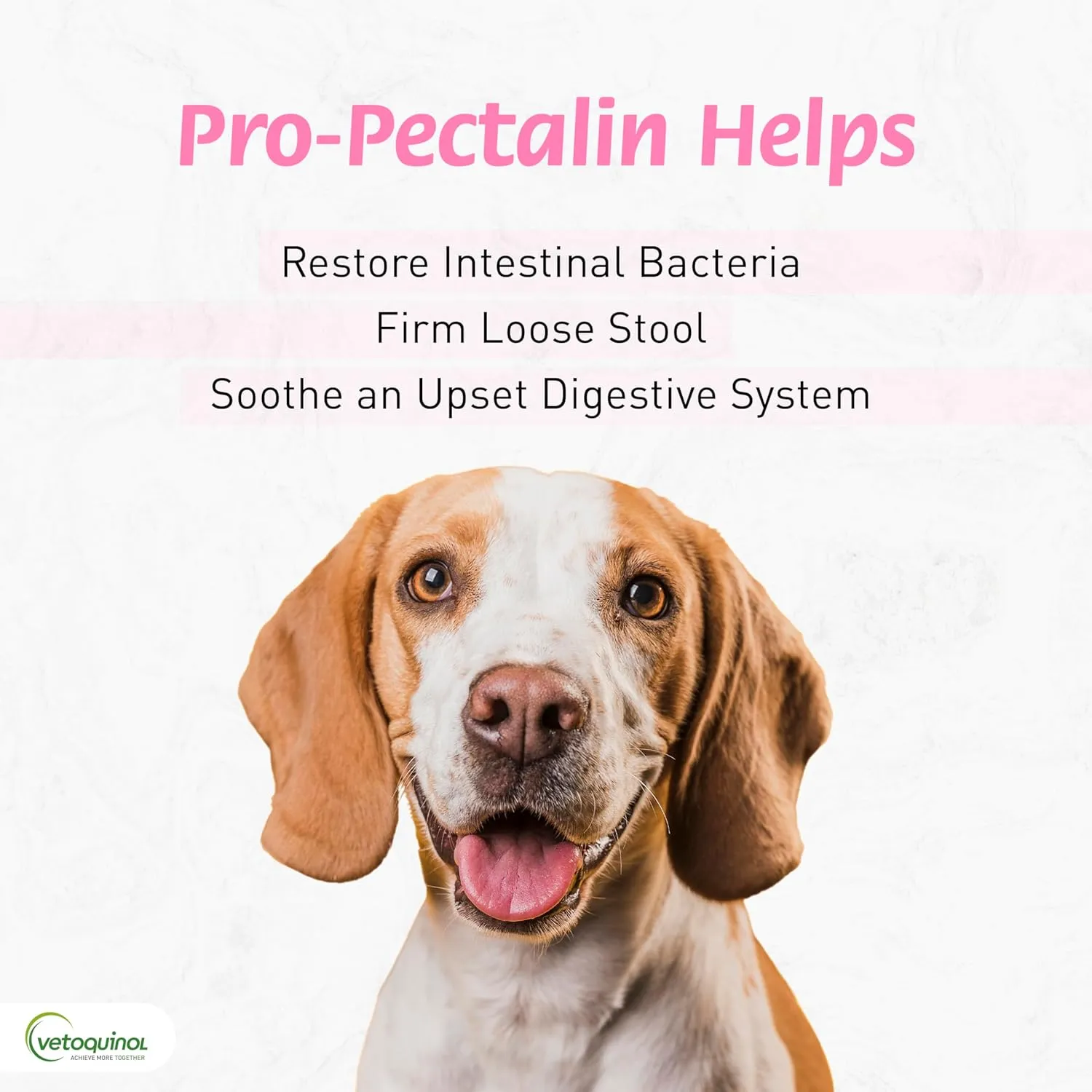 Pro-Pectalin Oral Paste for Dogs & Cats, Helps Relieve Occasional Diarrhea in Cats and Dogs, Situational Diarrhea Relief with Kaolin and Pectin, Contains Beneficial Probiotic Bacteria, 30cc