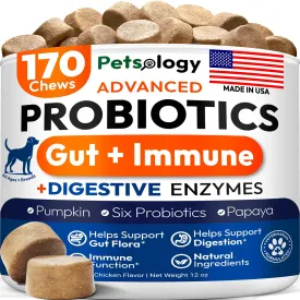 Probiotics for Dogs - 170 Dog Probiotics Chews - Digestive Enzymes & Prebiotics - Support Gut Health, Diarrhea, Gas & Constipation Relief - Itchy Skin, Allergies, Yeast Balance - Pet Supplement