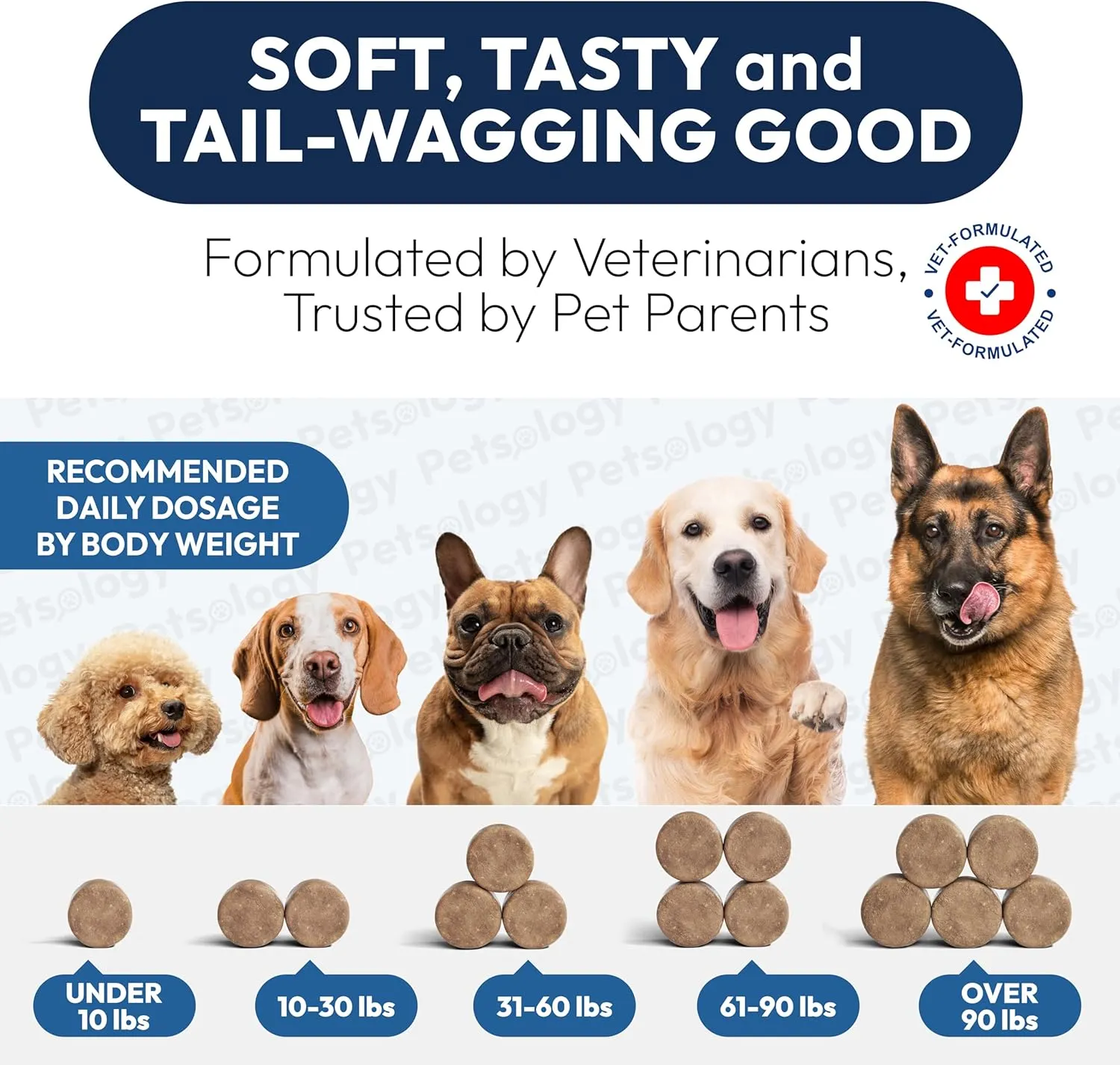Probiotics for Dogs - 170 Dog Probiotics Chews - Digestive Enzymes & Prebiotics - Support Gut Health, Diarrhea, Gas & Constipation Relief - Itchy Skin, Allergies, Yeast Balance - Pet Supplement