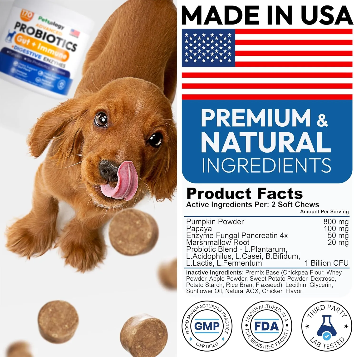 Probiotics for Dogs - 170 Dog Probiotics Chews - Digestive Enzymes & Prebiotics - Support Gut Health, Diarrhea, Gas & Constipation Relief - Itchy Skin, Allergies, Yeast Balance - Pet Supplement