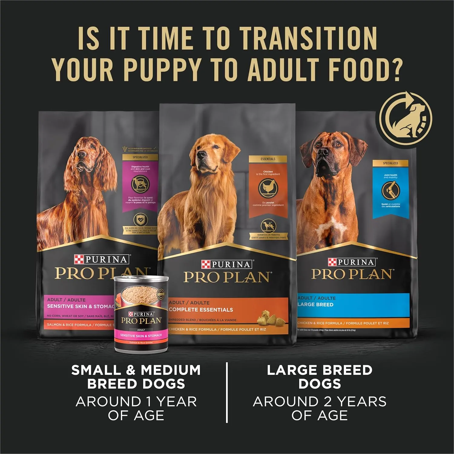 Purina Pro Plan High Protein Puppy Food Shredded Blend Chicken & Rice Formula - 6 lb. Bag