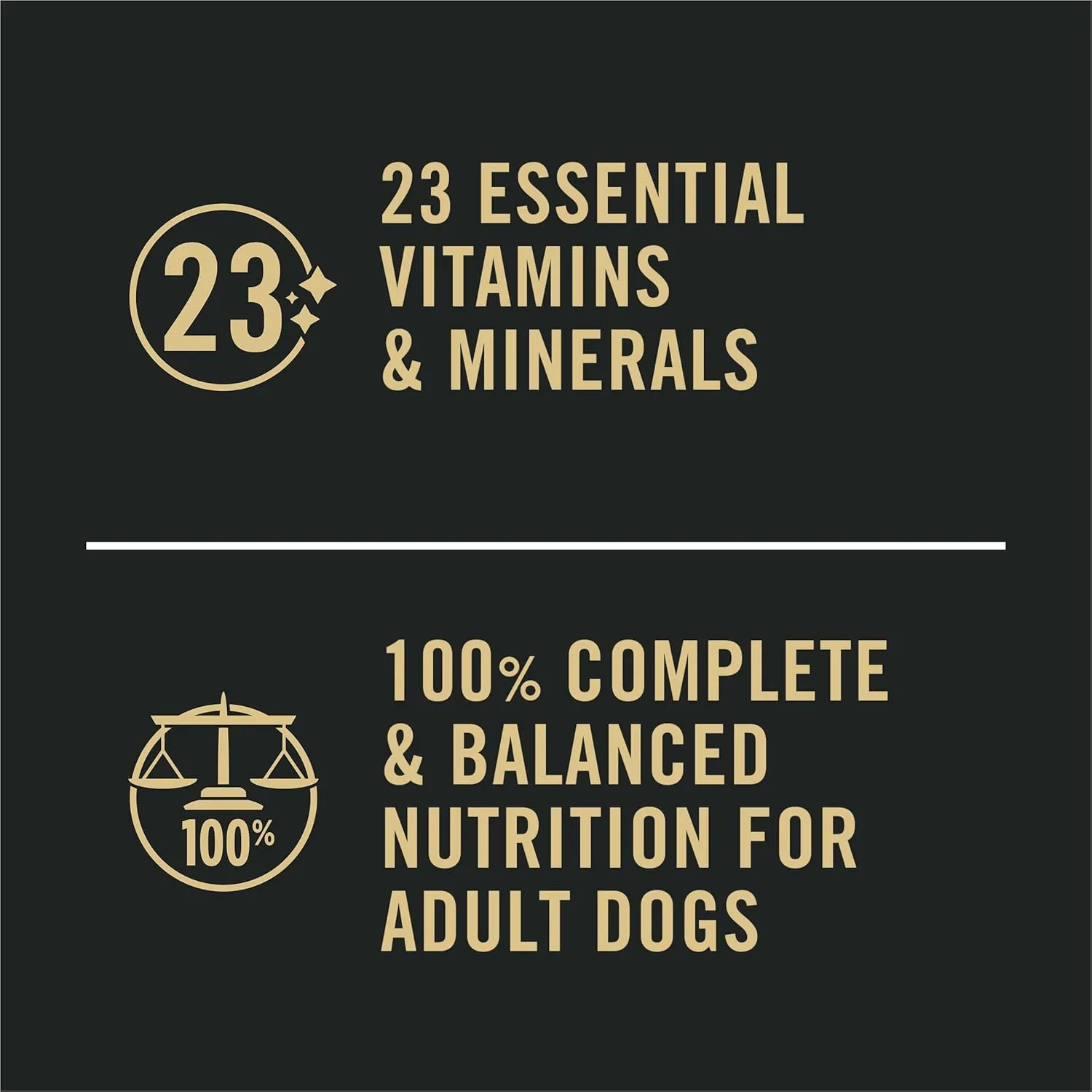Purina Pro Plan Sensitive Skin and Stomach Dog Food Wet Classic Pate Salmon and Rice Entre - (Pack of 12) 13 oz. Cans