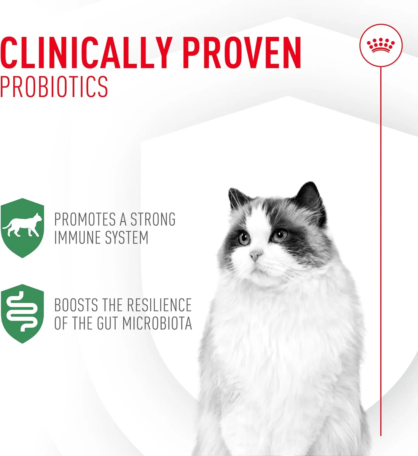 Royal Canin Probiotics for Cats Digestive and Immune Health Powder Supplement for Cats of All Ages, 30 Count