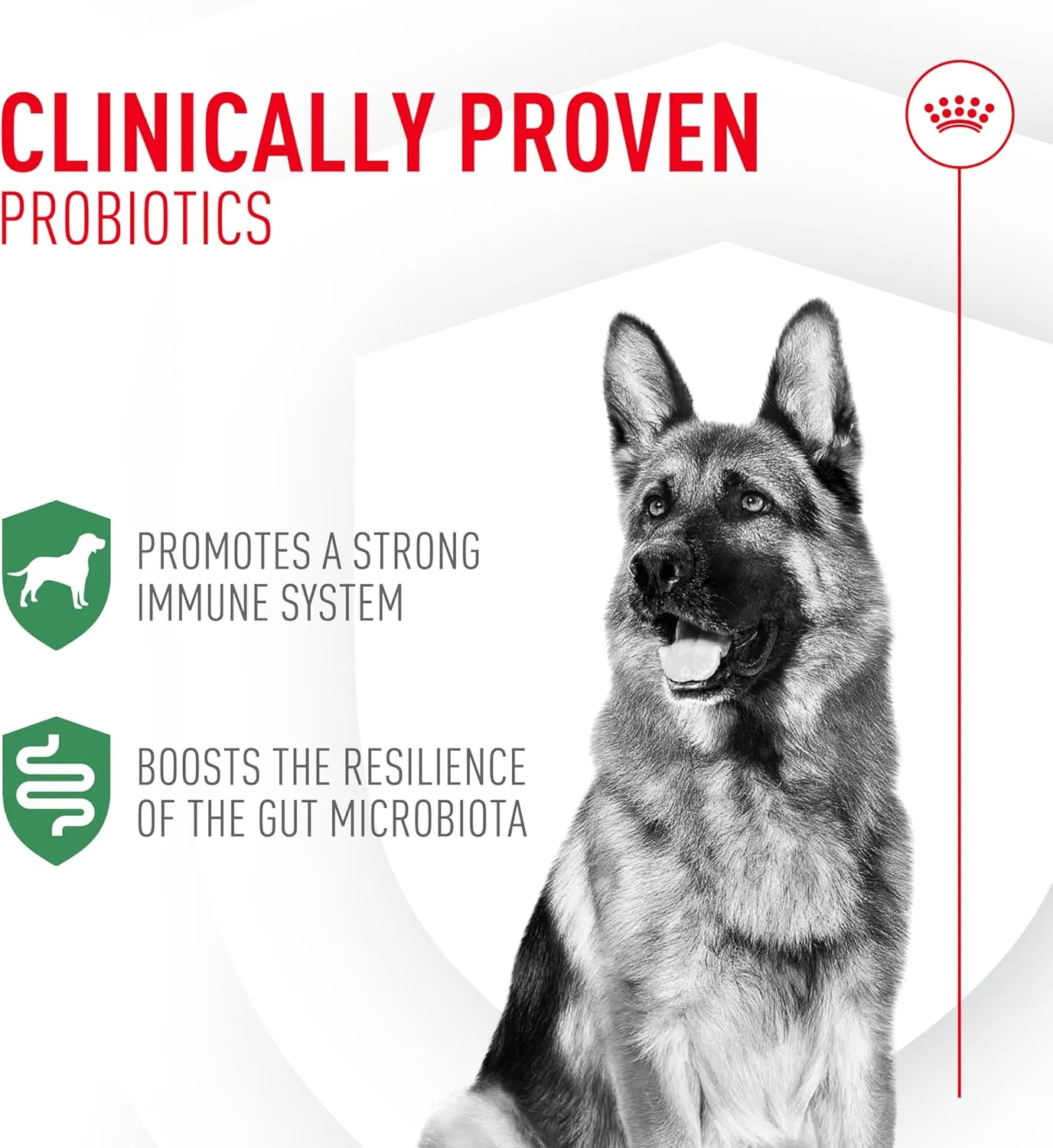 Royal Canin Probiotics for Dogs Digestive and Immune Health Powder Supplement for Canines of All Ages, 30 Count
