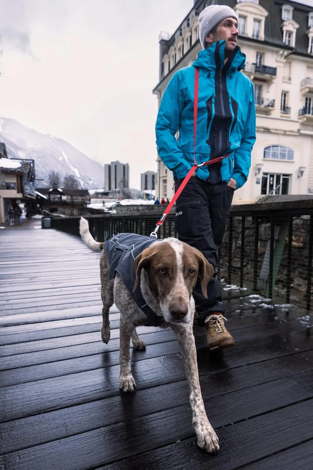 Ruffwear, Overcoat Fuse Jacket Harness Combo for Dogs, Basalt Gray, X-Small