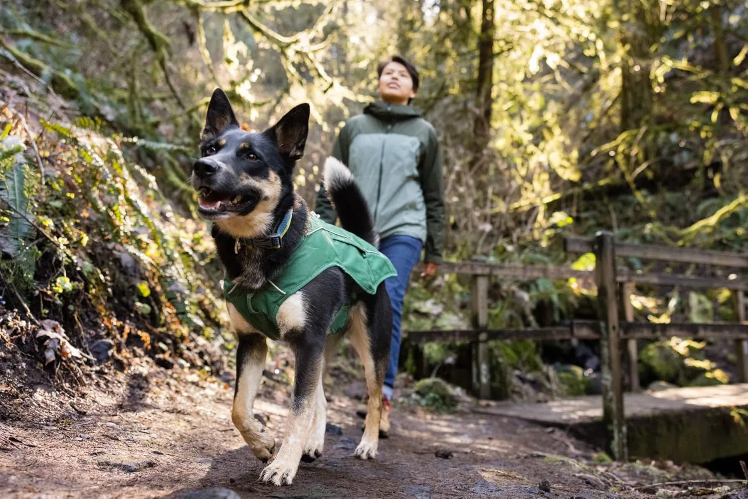 Ruffwear, Overcoat Fuse Jacket Harness Combo for Dogs, Evergreen, X-Small