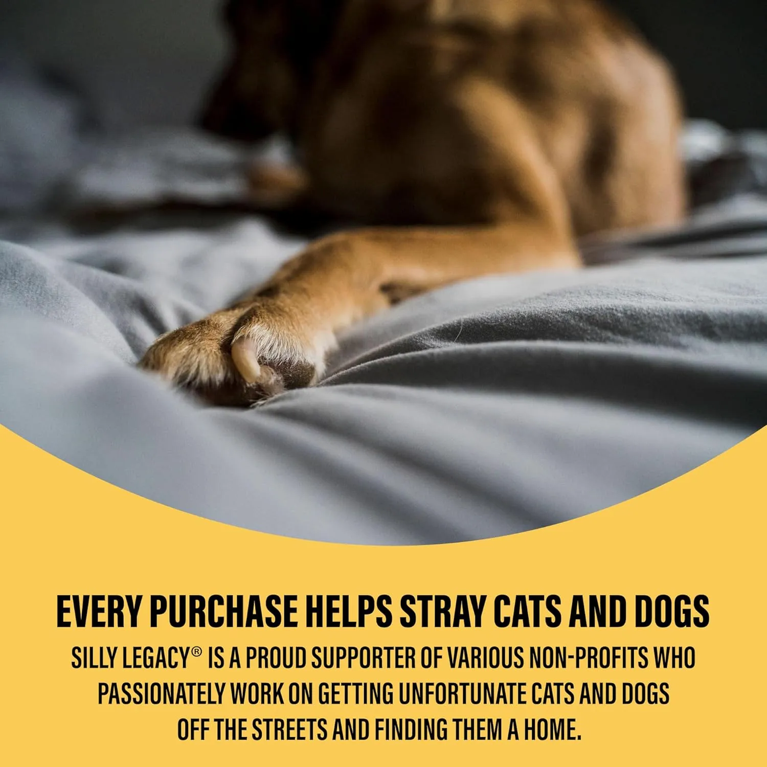 SILLY LEGACY Thin Reversible Waterproof Protective Cover or Liner for Bed or Couch, for Dogs and Cats, Babies; Incontinence, Dirt, Drool