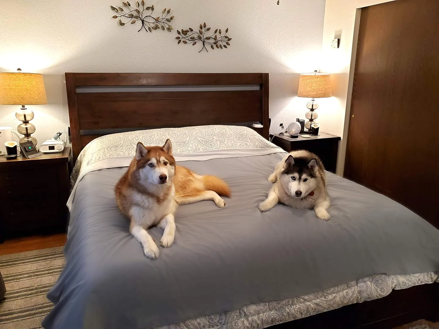 SILLY LEGACY Thin Reversible Waterproof Protective Cover or Liner for Bed or Couch, for Dogs and Cats, Babies; Incontinence, Dirt, Drool