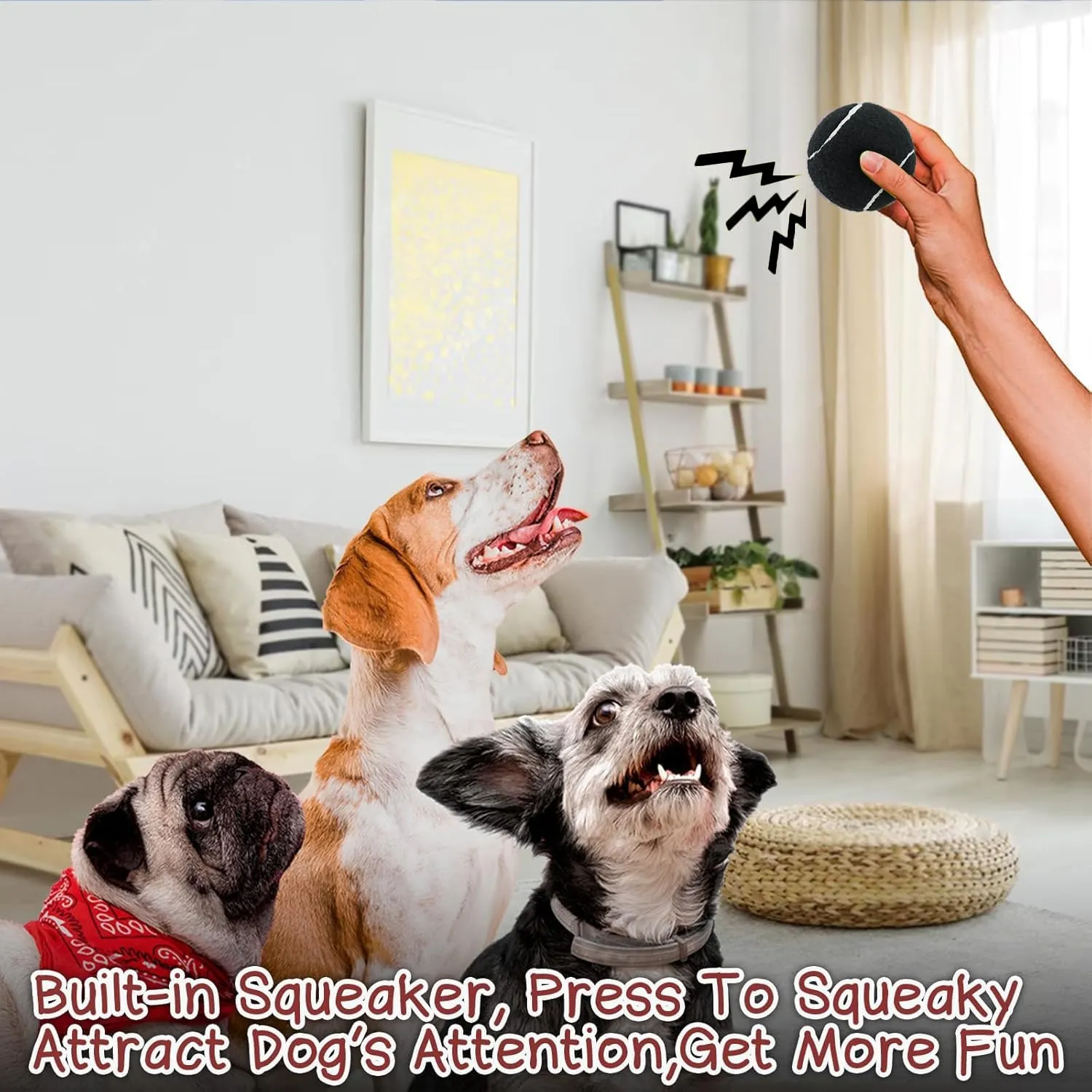 Squeaky Dog Balls - Squeaky Tennis Balls for Dogs, Black | Medium - 2.5'', 4Pack