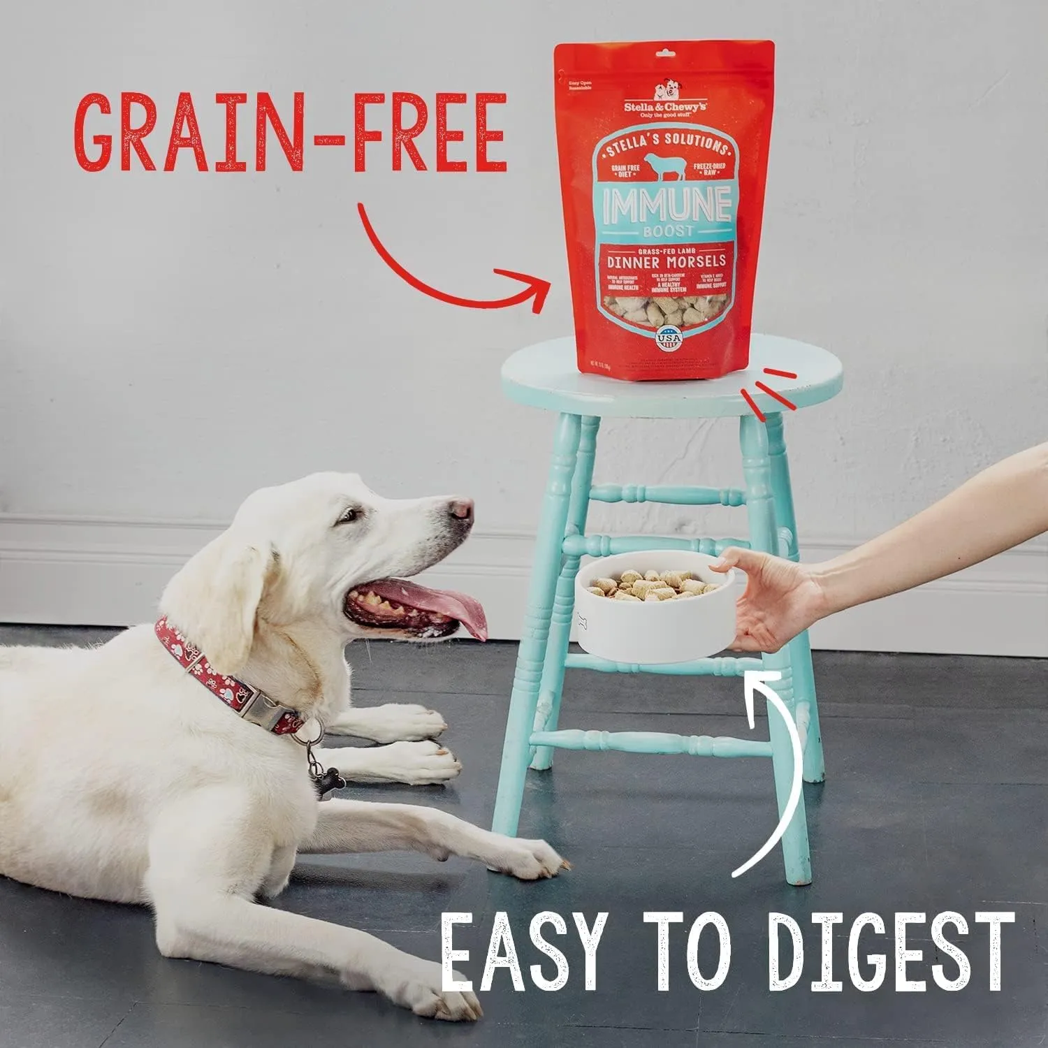 Stella & Chewy's Freeze-Dried Raw Dog Food for Digestive Health - Grass-Fed Beef Dinner Morsels - Natural Solution for Sensitive Stomach, Gas & Firm Stools - Premium Raw Nutrition - 4.25oz