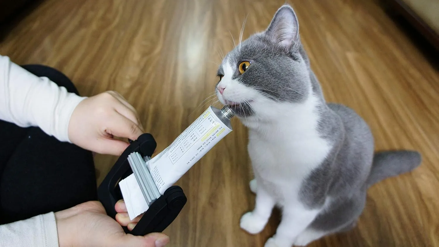 Toothpaste Squeezer, Multi-Functional Tube Wringer, Daily Living Aid for Squeezing Supplement Nutritional Gel for Cat Dog Pet, Dispenser Tool Easy for All Ages, Clean & Free of Residues, Pack of 1