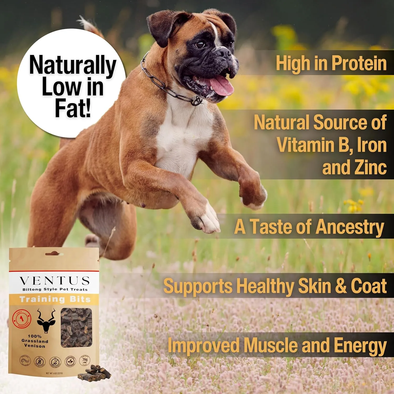 VENTUS Jerky Training Bits  All Natural, Wild Venison Treats, Healthy, Single-Ingredient, Raw Air-Dried, Treat or Topper, High Protein, No Additives, Grain Free, Reward for Dogs, 8 oz