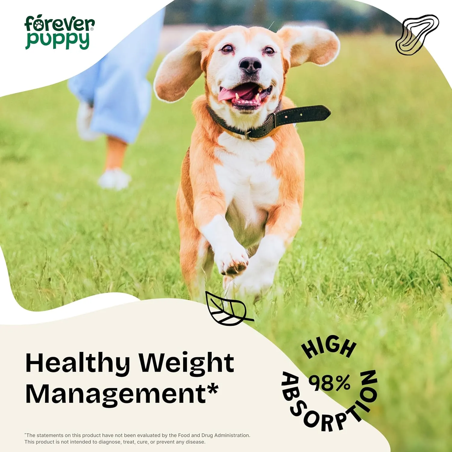 Weight Management Drops for Dogs - Dog Food Supplement for Energy Support - Irish Sea Moss, Ginseng & Fenugreek Nutrient Blend for All Breeds & Sizes - 2 fl oz