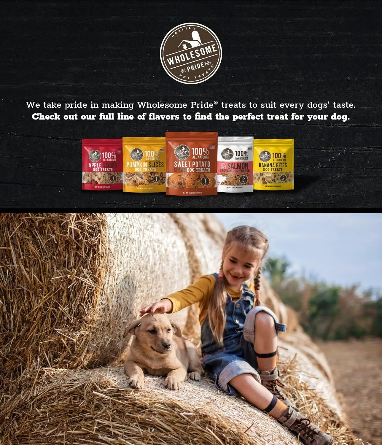 Wholesome Pride Banana Bites 100% All-Natural Limited Ingredient Dog Treats, 8 oz
