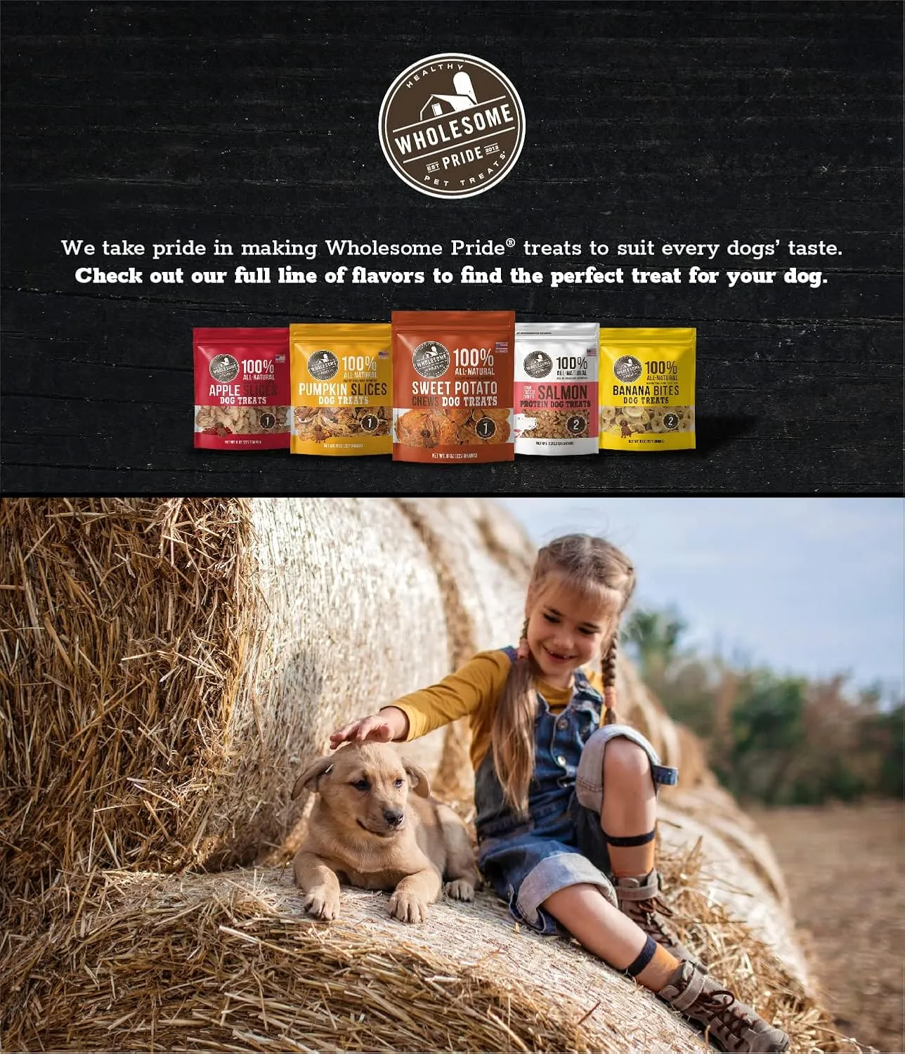 Wholesome Pride Functional Calming Support Turkey Jerky Bites, USA Made Calming Dog Treats - 8 oz
