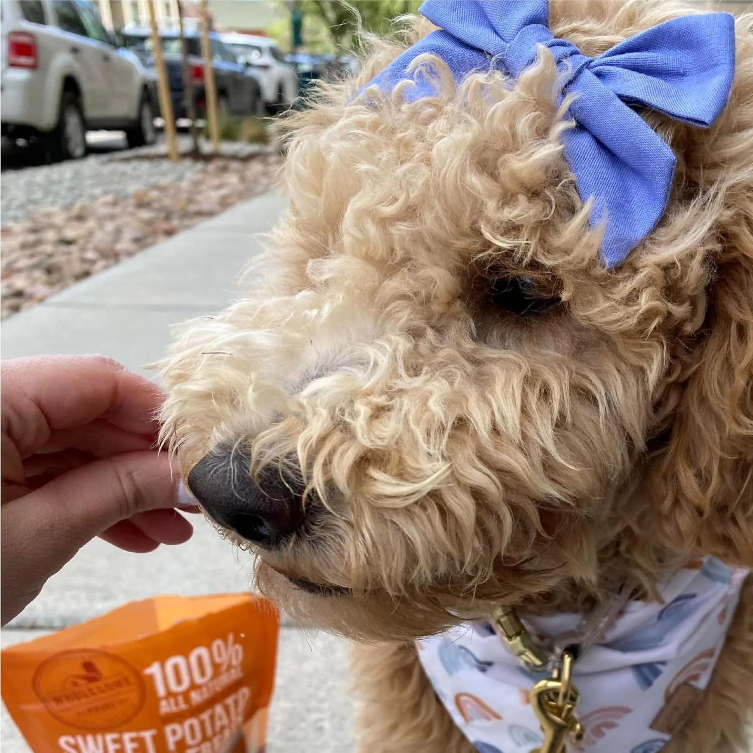 Wholesome Pride Sweet Potato Bites 100% All-Natural Single Ingredient Dog Treats, 8 oz