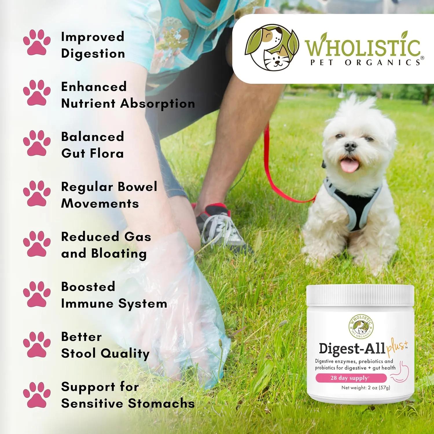 Wholistic Digest-All Plus Probiotics for Dogs with Digestive Enzymes - 2 Oz - Cat Probiotics for Digestive Health - Dog Probiotics for Digestive Health Supplement Powder for Homemade Food